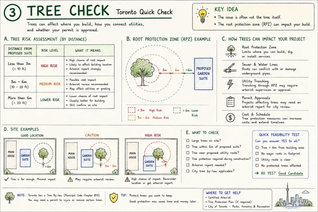 Toronto-garden-suite-tree-protection-and-root-zone-check notes