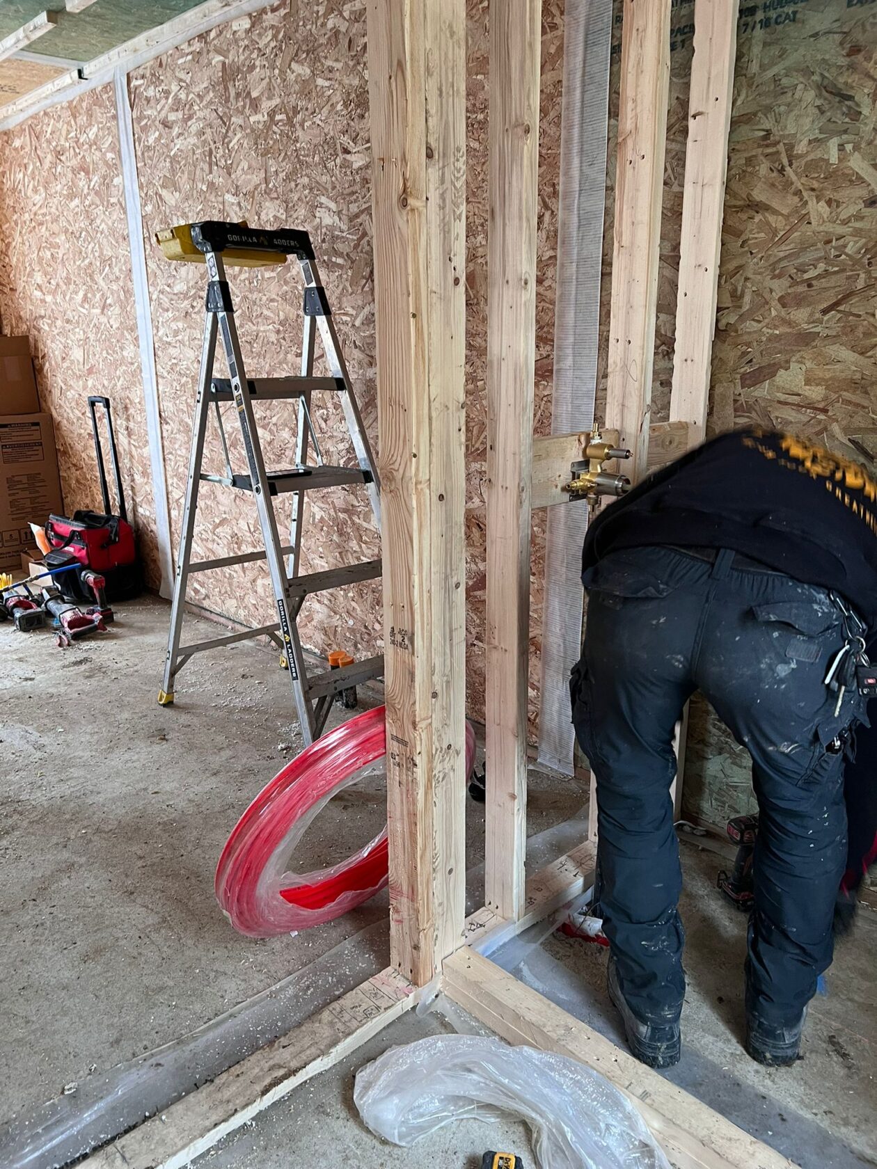 Multiplex Conversion Kleinburg